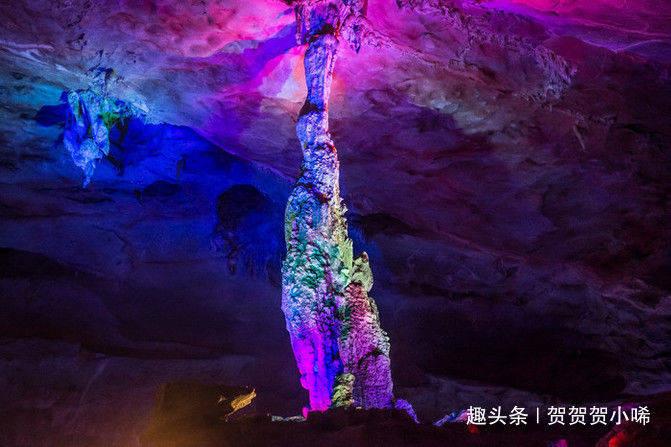 宇宙蜜蜂无敌版