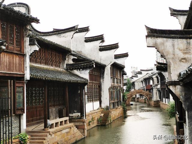 狗狗被扔在路边,淋着雨一脸无辜相,宠主:看你还敢拆家不?